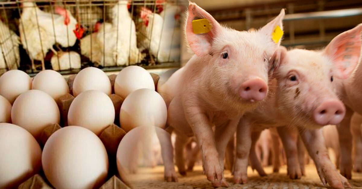 Quais foram as instituições envolvidas na assinatura do novo convênio entre ApexBrasil e ABPA, conforme mencionado no Portal DBO?