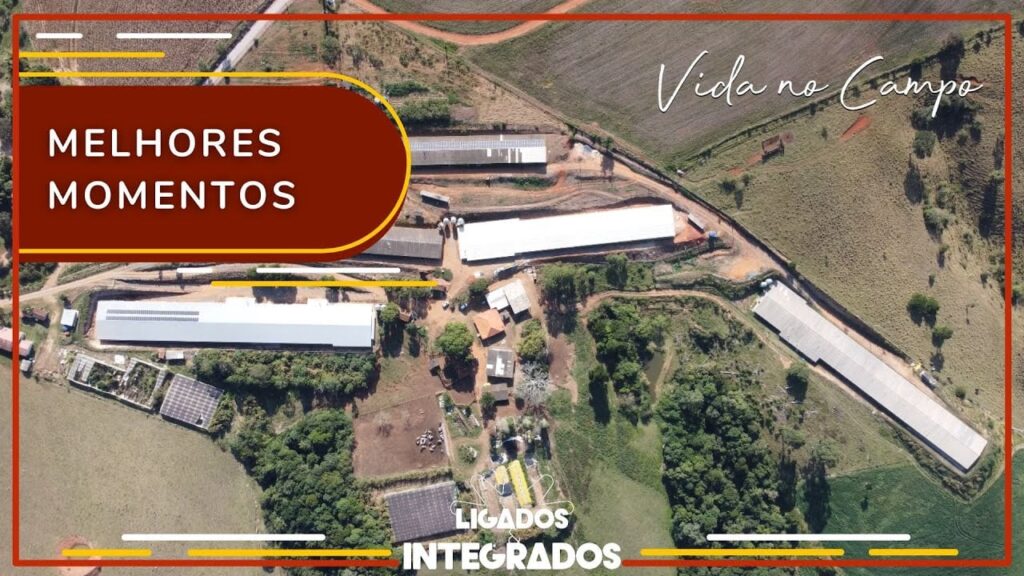 família, vida no campo