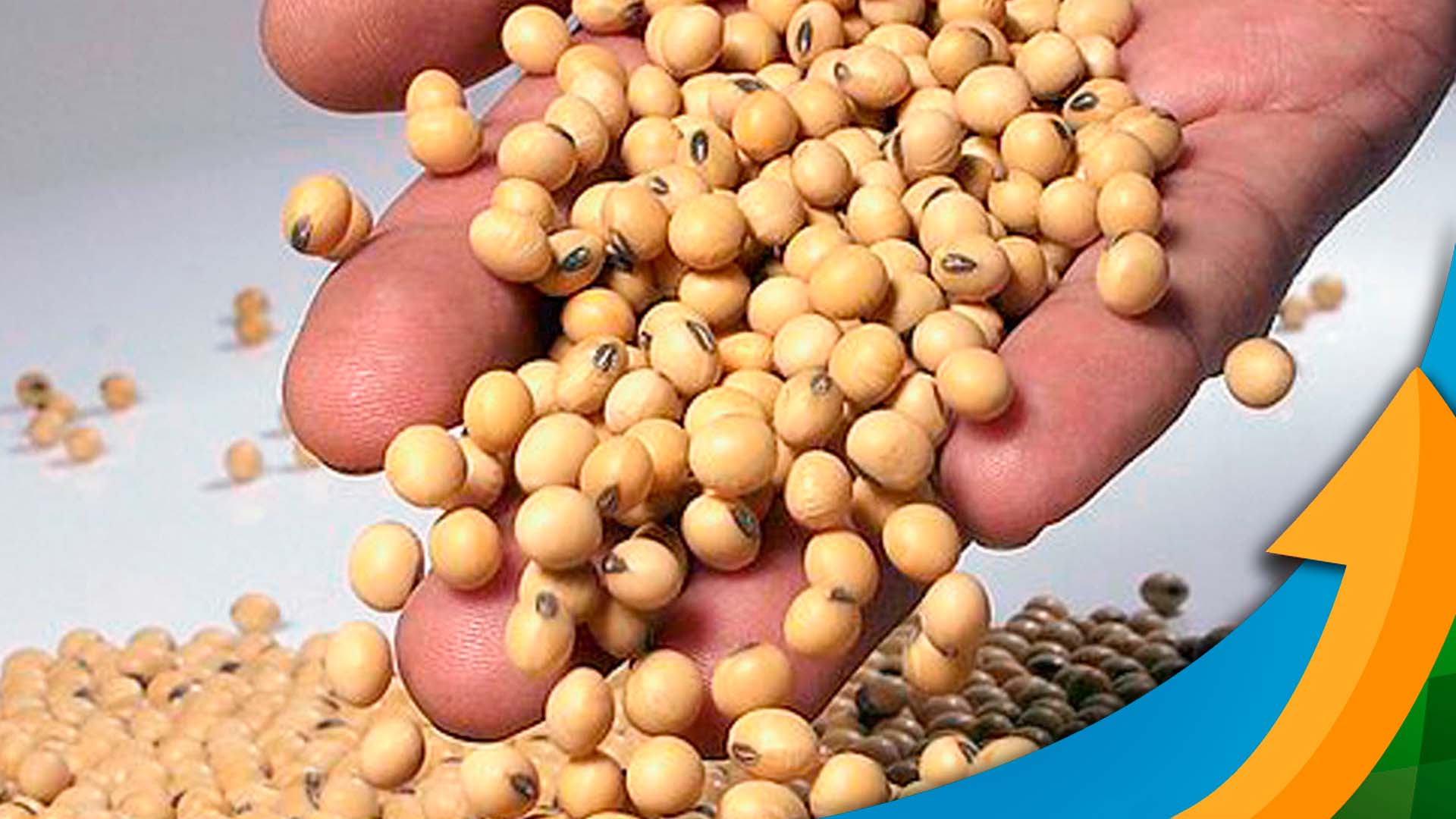 Quais foram os motivos técnicos que levaram o mercado a ter um dia sem novidades do USDA?