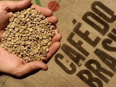 Quais foram os níveis de aumento dos embarques de café robusta em julho, de acordo com o Cepea? 4 quais foram os niveis de aumento dos embarques de cafe robusta em julho de acordo com o cepea