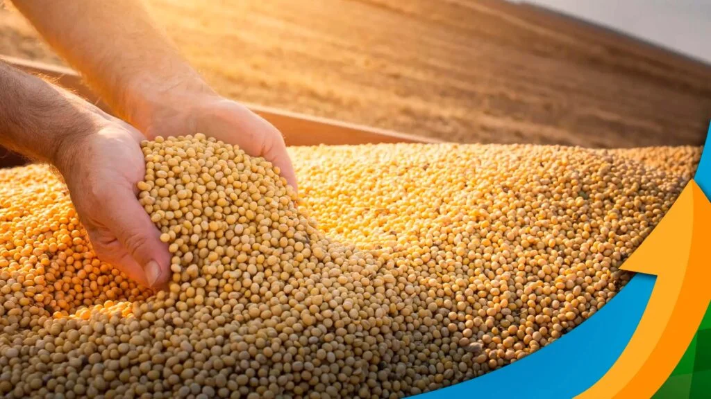 quais movimentacoes no leste europeu causaram a queda do trigo em chicago e o que isso acarretou