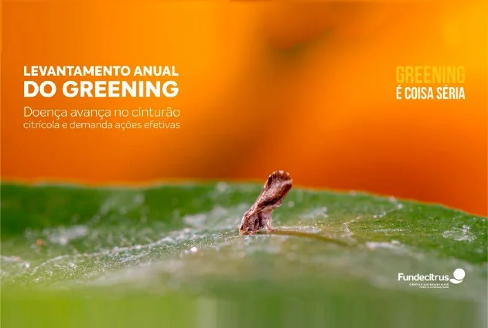 Quais são as ações efetivas que o setor citrícola precisa tomar para reduzir a incidência do Greening nos pomares do cinturão citrícola? 3 quais sao as acoes efetivas que o setor citricola precisa tomar para reduzir a incidencia do greening nos pomares do cinturao citricola