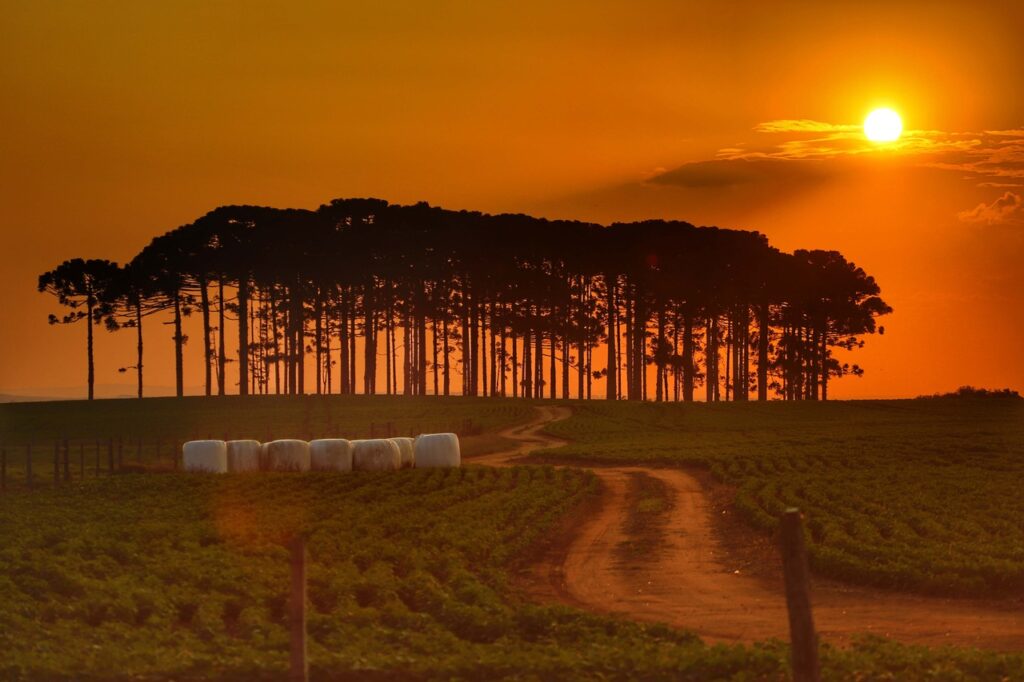 quais sao as ferramentas disponiveis no parana para acompanhar o clima e o tempo