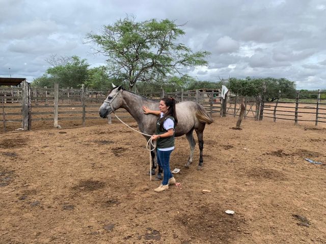 Quais são as medidas para evitar a doença?