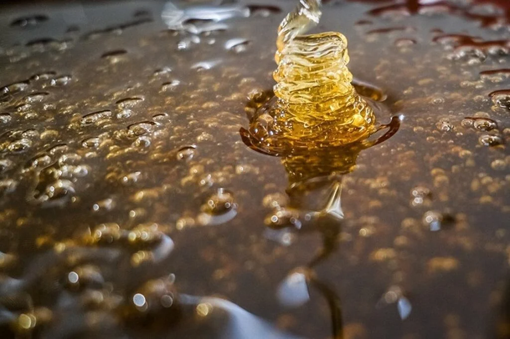 quais sao as oportunidades unicas para os produtores de mel participarem de visitas tecnicas em missao especial no chile