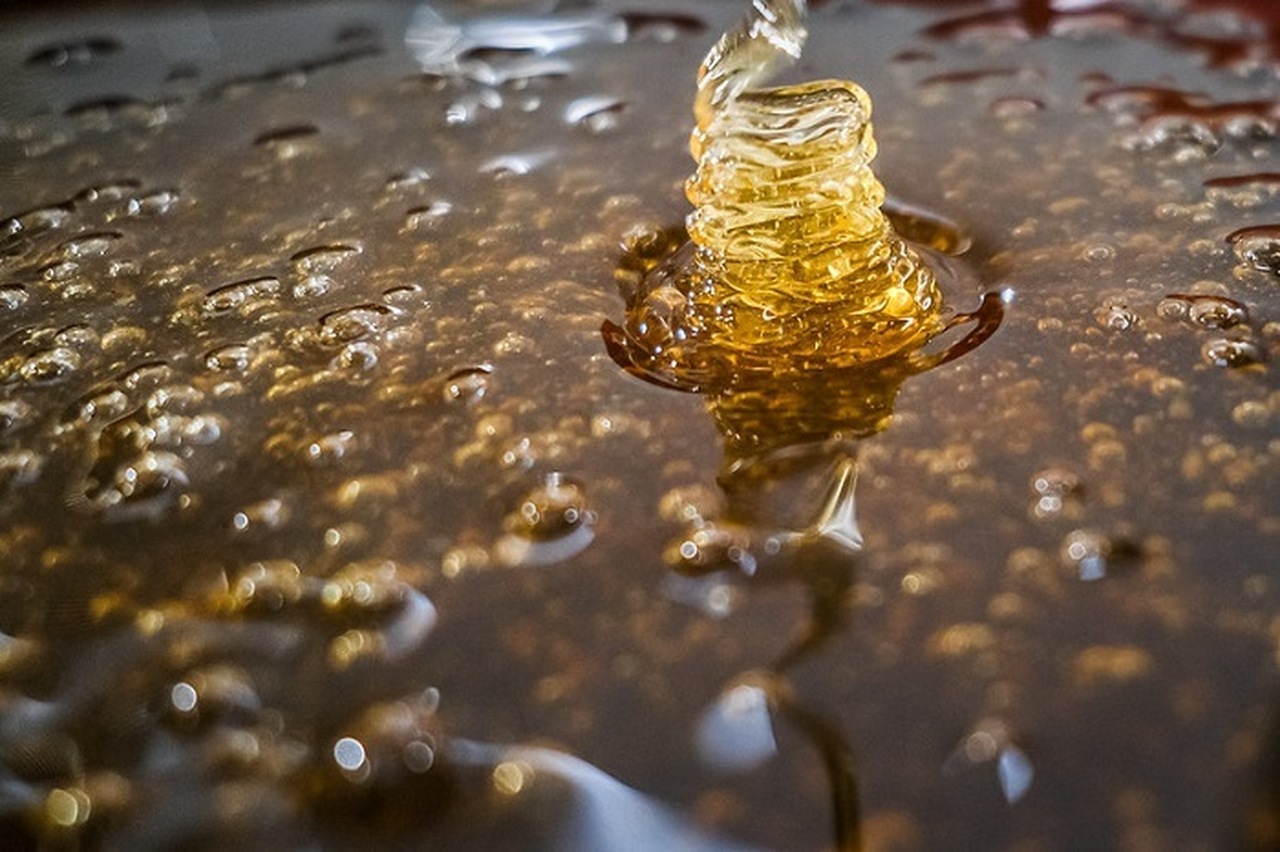 quais sao as oportunidades unicas para os produtores de mel participarem de visitas tecnicas em missao especial no chile