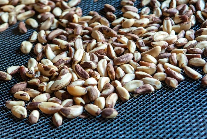 Quais são as perspectivas de crescimento das exportações amazônicas no Apex? 7 quais sao as perspectivas de crescimento das exportacoes amazonicas no