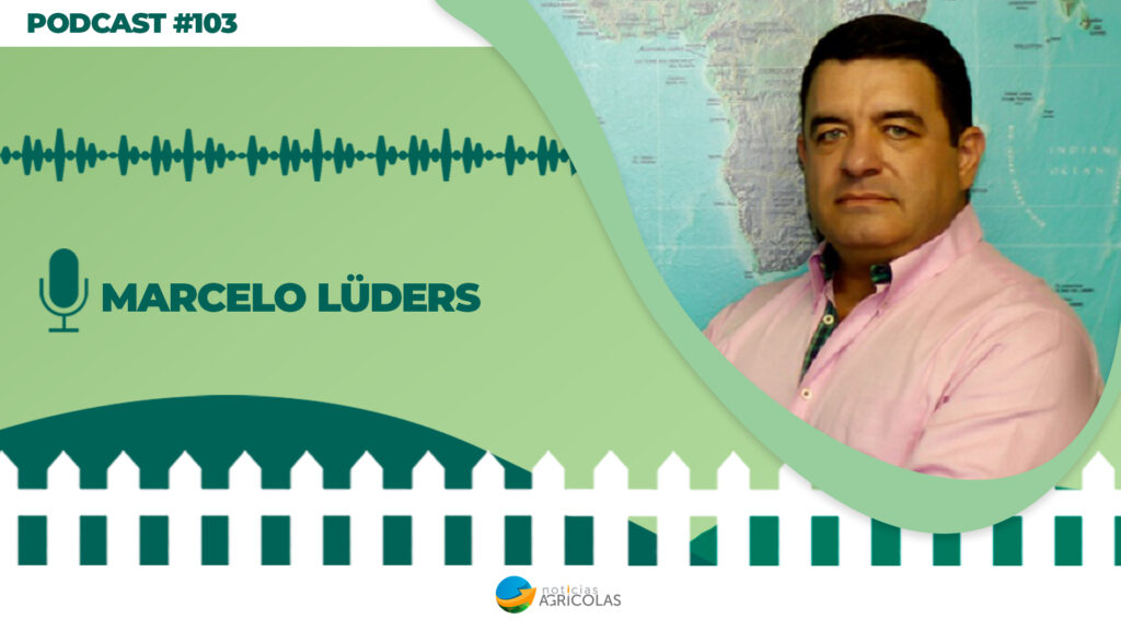 quais sao as transformacoes da producao de feijoes e pulses 1