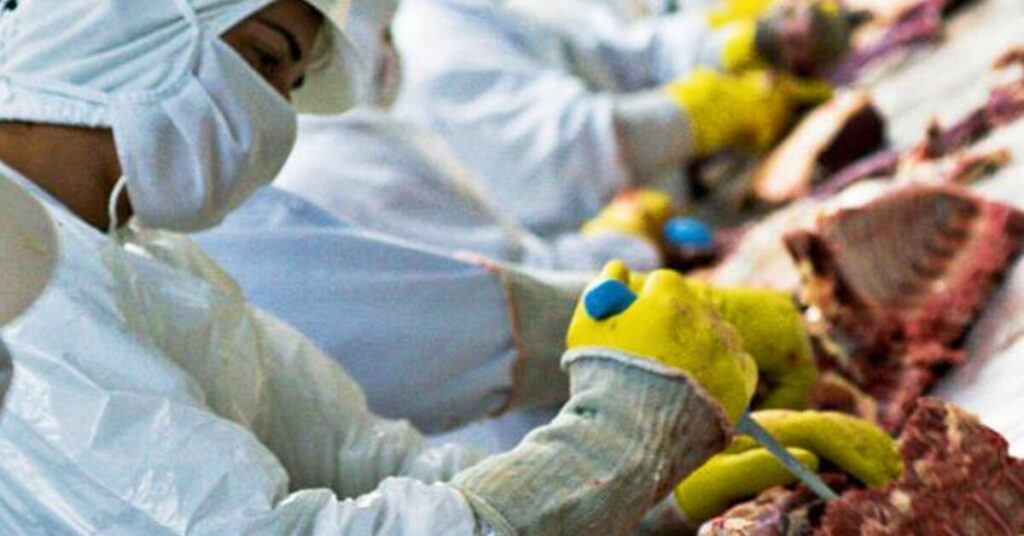 quais sao os detalhes da aquisicao das plantas de abate e desossa de bovinos da marfrig anunciada pela minerva foods