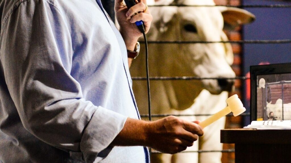 Quais são os detalhes do convênio de R$ 4,6 milhões assinado pela Apex com o ABCZ? 6 convênio, ABCZ, Expogenética