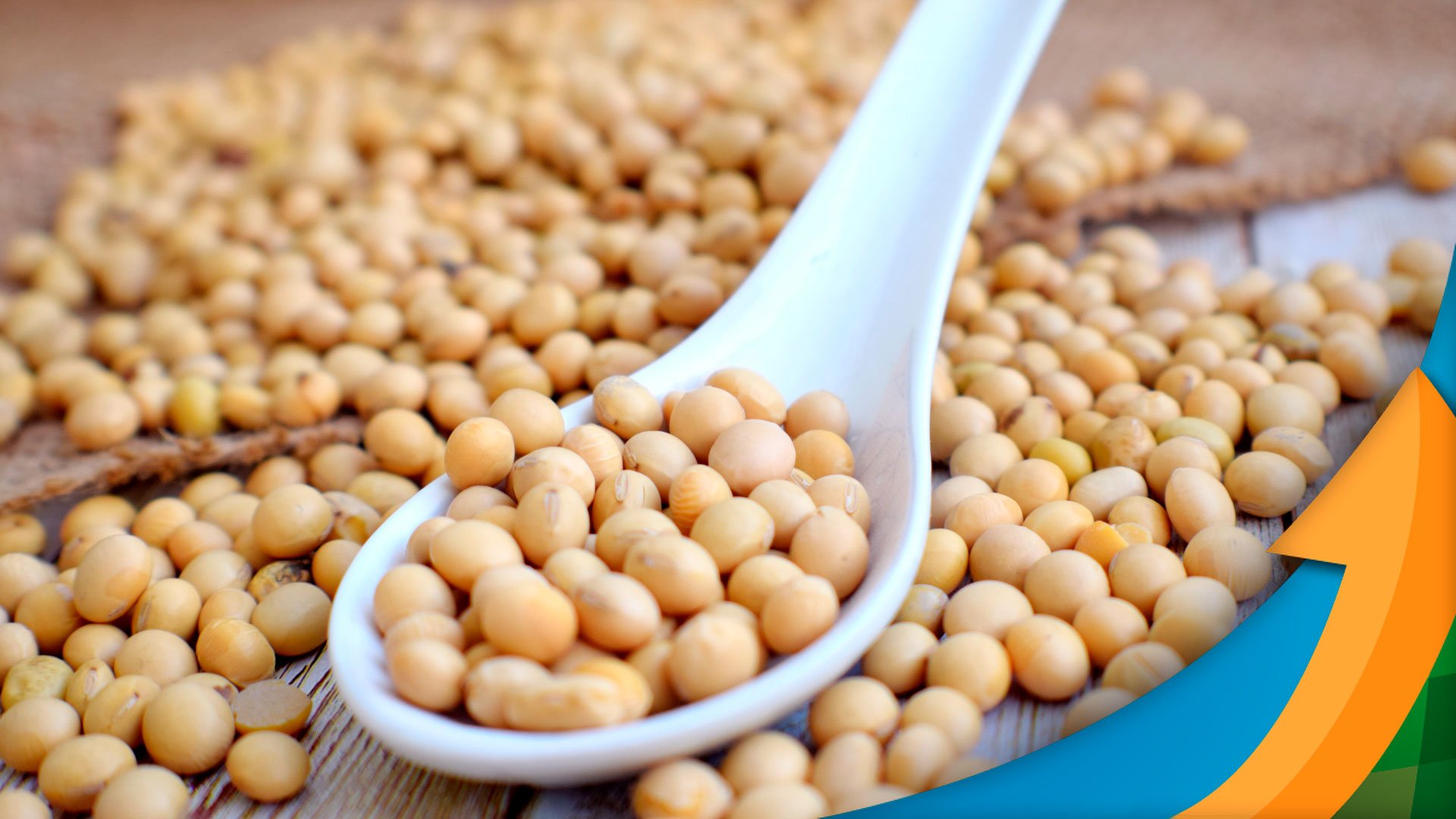 Qual a previsão da Pro Farmer para a safra americana de soja e como isso afeta o quadro de oferta e demanda?