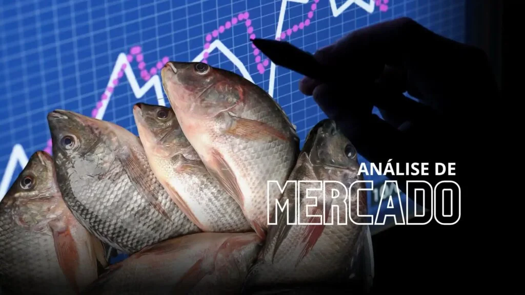 Qual a relação entre o calor excessivo e o movimento dos mercados da tilápia e dos peixes nativos? 6 qual a relacao entre o calor excessivo e o movimento dos mercados da tilapia e dos peixes nativos