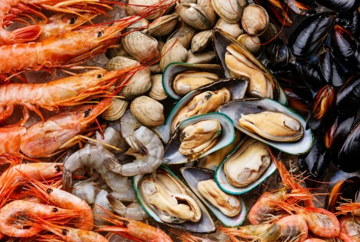 Qual é a abertura de mercado de Singapura para crustáceos e moluscos congelados brasileiros? 5 qual e a abertura de mercado de singapura para crustaceos e moluscos congelados brasileiros