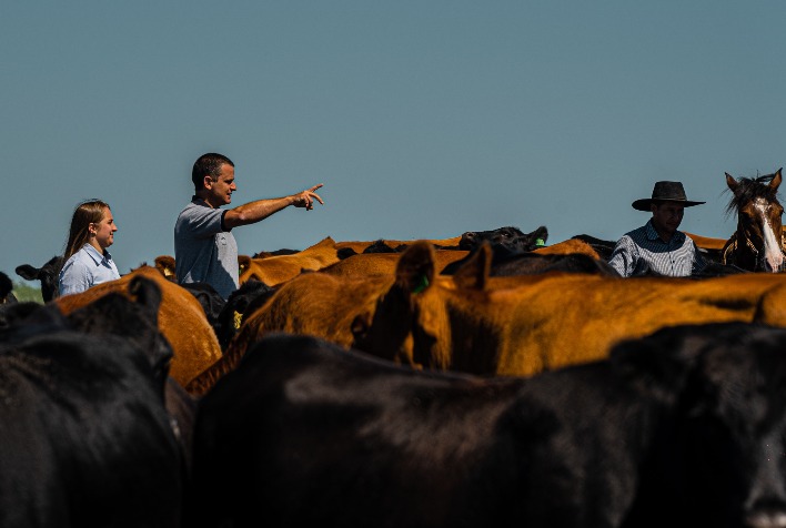 Qual é a avaliação da Biogénesis Bagó sobre o primeiro ano do projeto “Boi Azul” e quais são os investimentos da empresa na América Latina durante a Expointer 2023?
