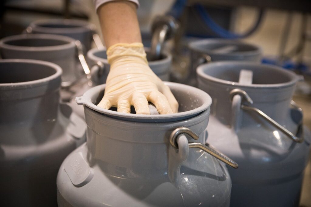 Qual é a criação da Embrapa utilizando leite de cabra da Caatinga para produzir um fermento lático probiótico? 8 leite, fermento, laticínios