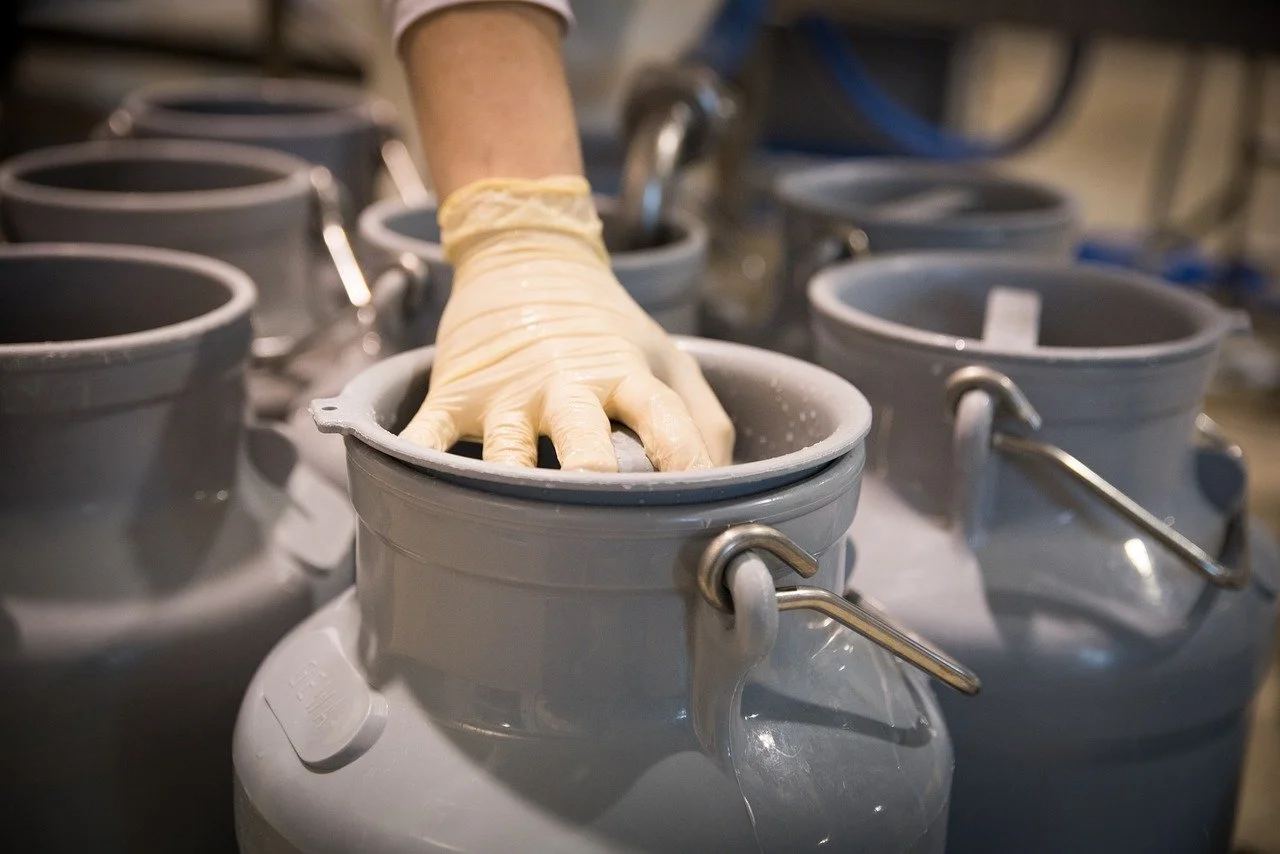 Qual é a criação da Embrapa utilizando leite de cabra da Caatinga para produzir um fermento lático probiótico? 5 leite, fermento, laticínios