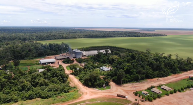 Manejo sustentável na exploração de florestas nativas