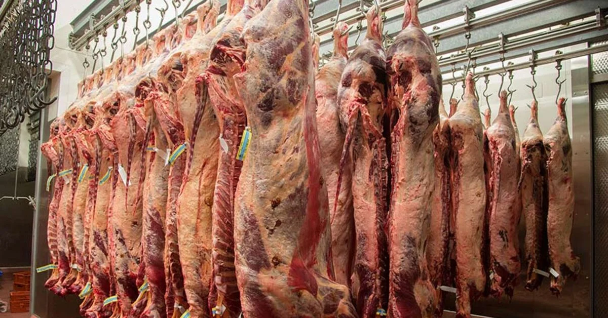 Qual é a opinião dos EUA em relação ao acordo entre Brasil e República Dominicana, conforme relatado no Portal DBO?