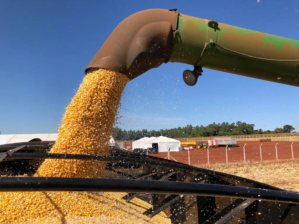 Qual é a porcentagem atual da colheita do milho no Paraná e qual é a porcentagem do plantio para a safra 23/24 alcançada até agora? 2 qual e a porcentagem atual da colheita do milho no parana e qual e a porcentagem do plantio para a safra 23 24 alcancada ate agora 2