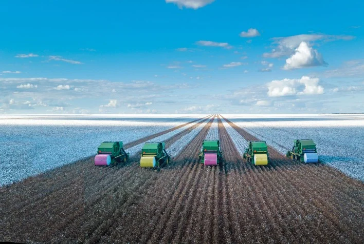 Qual é a porcentagem da colheita de algodão em Mato Grosso que já foi concluída?