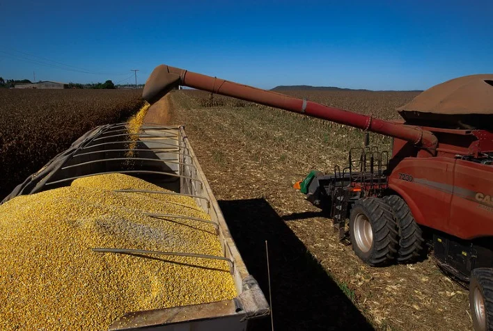 Qual é a porcentagem da safrinha de 2023 que já foi colhida, de acordo com a AgRural? E qual é o progresso do plantio de milho verão, também de acordo com a AgRural? 5 qual e a porcentagem da safrinha de 2023 que ja foi colhida de acordo com a agrural e qual e o progresso do plantio de milho verao tambem de acordo com a agrural