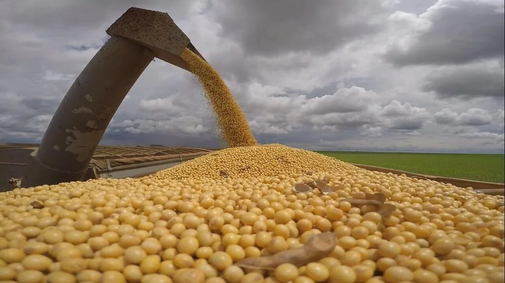 qual e a previsao da conab para a safra de graos do brasil em 2022 23