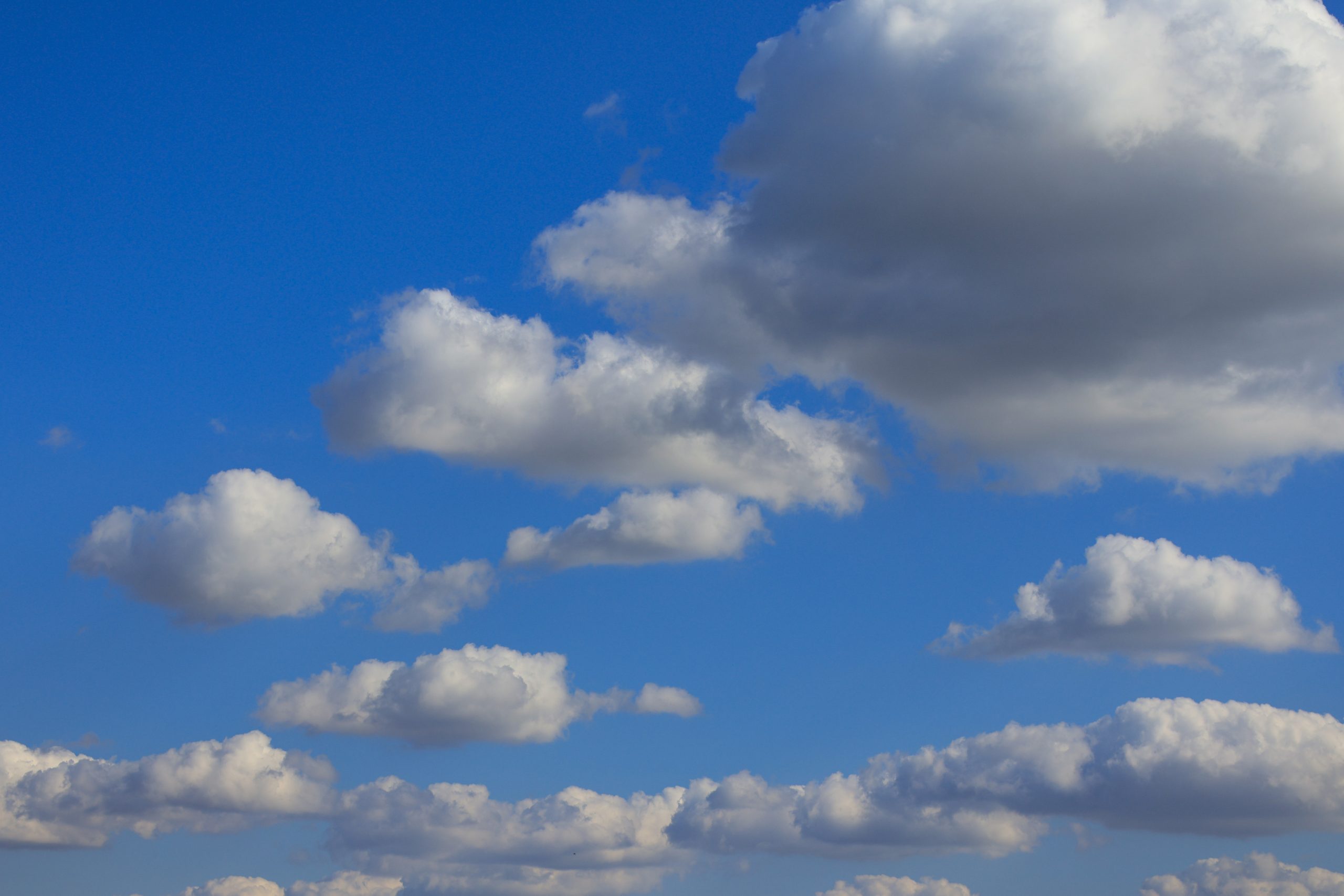 qual e a previsao do tempo para a ultima semana de agosto