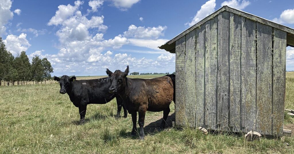 qual e o destaque climatico desta semana em grande parte do pais de acordo com o portal dbo