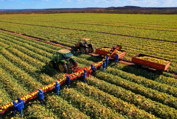 Qual é o nome da nova máquina colheitadeira de frutas lançada pela empresa cearense Cemag?