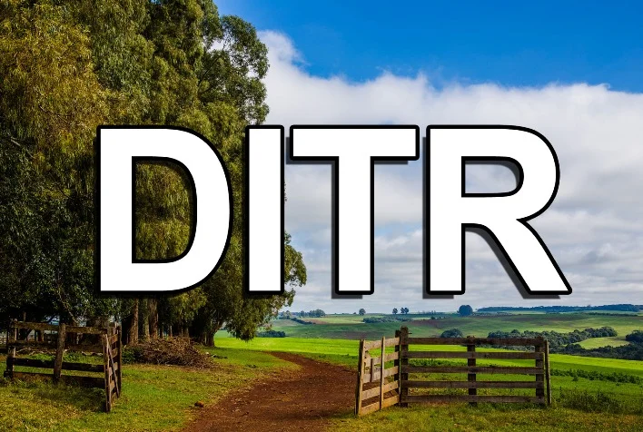 Qual é o prazo para entrega da Declaração do Imposto Territorial Rural (DITR)? 3 qual e o prazo para entrega da declaracao do imposto territorial rural ditr