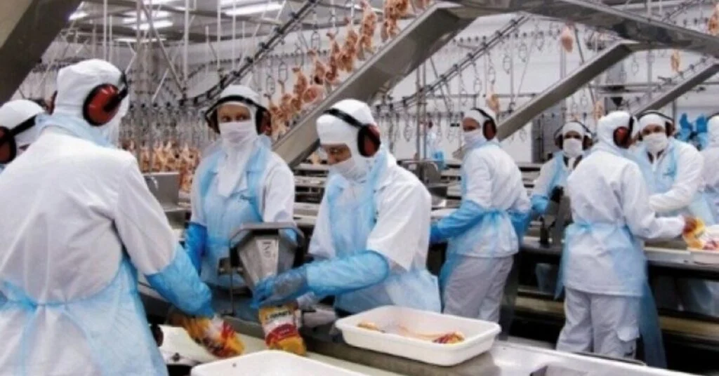 Qual foi a queda na produção agroindustrial no primeiro semestre, segundo a FGV Agro, e qual a expectativa de diminuição para o ano todo? 2 qual foi a queda na producao agroindustrial no primeiro semestre segundo a fgv agro e qual a expectativa de diminuicao para o ano todo