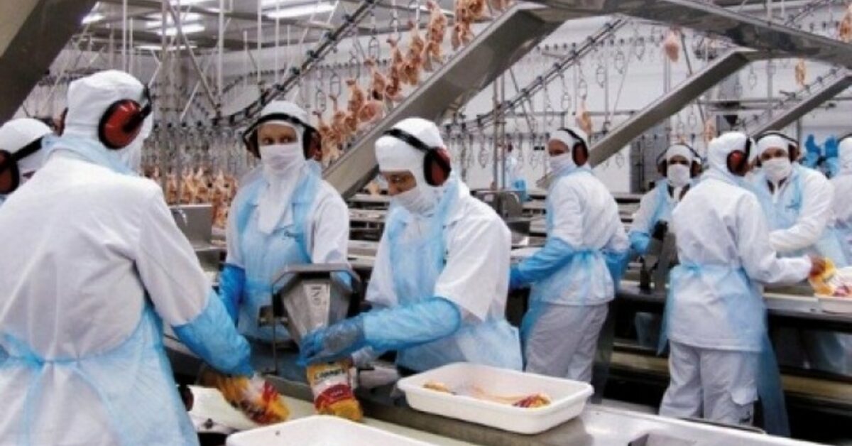 qual foi a queda na producao agroindustrial no primeiro semestre segundo a fgv agro e qual a expectativa de diminuicao para o ano todo