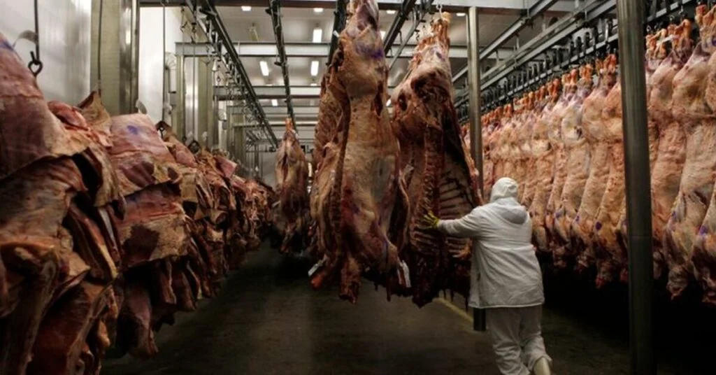 qual foi a queda percentual das exportacoes brasileiras de carne bovina em julho de 2023 de acordo com o portal dbo na receita