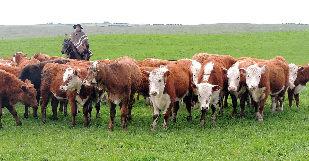 Qual é o tema do seminário pioneiro que acontecerá na Expointer sobre mitigação e balanço de carbono? 10 qual foi o aumento no faturamento na expointer com venda de animais este ano para r 1288 milhoes 2