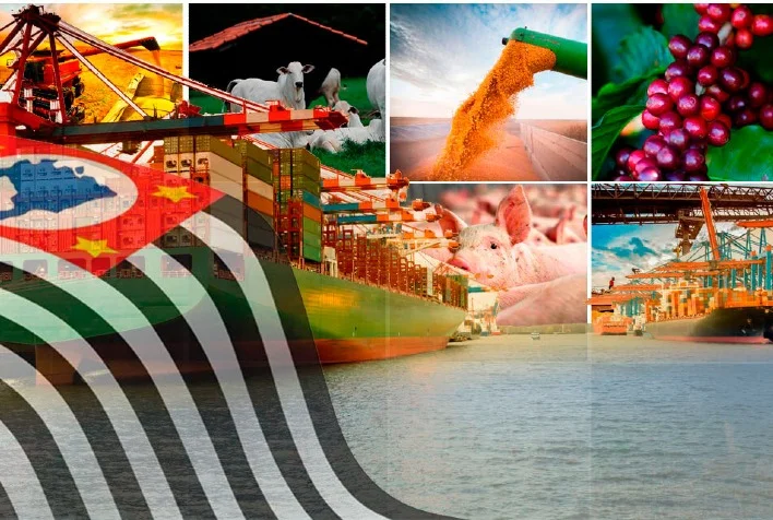 Qual foi o crescimento das exportações do agro em São Paulo em julho de 2023 e qual foi o valor atingido em dólares? 3 qual foi o crescimento das exportacoes do agro em sao paulo em julho de 2023 e qual foi o valor atingido em dolares