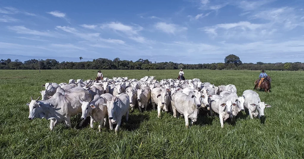 qual foi o objetivo da reuniao da equipe gestora da adapec