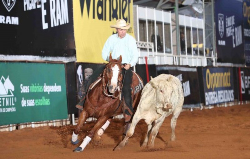 Qual potro do ‘Big Projeto’ do Rancho Promissão está se destacando nas pistas de Working Cow Horse?