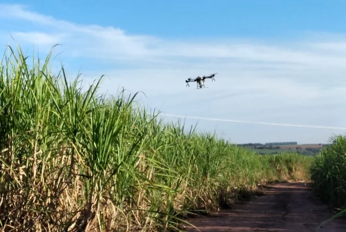 qual sera o tema do conexao cana em relacao ao cenario tecnologico da cultura