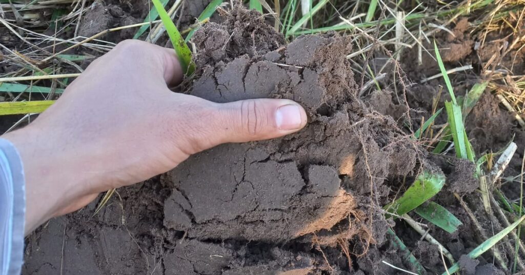 qual startup recebeu financiamento da fapesp para desenvolver tecnologia de analise de solo 1