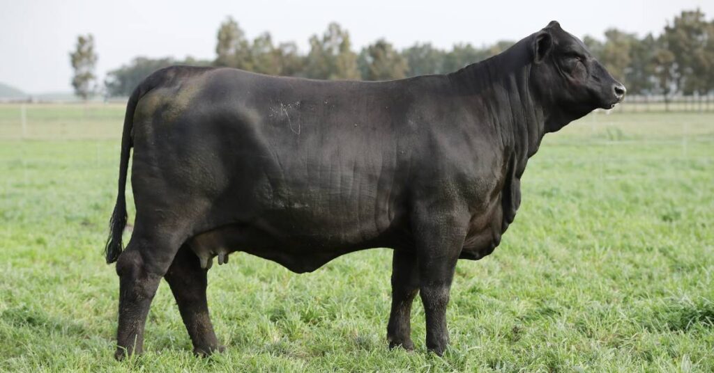 Quanto o '3º Rincon Code' movimentou em reais? 9 quanto o 3o rincon code movimentou em reais 2