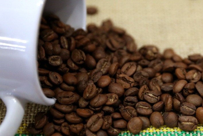 Quanto o BDMG liberou em crédito para o setor do café na Safra 2023/2024?