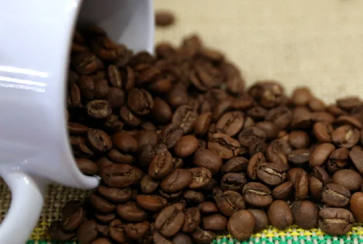 Quanto o BDMG liberou em crédito para o setor do café na Safra 2023/2024? 23 quanto o bdmg liberou em credito para o setor do cafe na safra 2023 2024