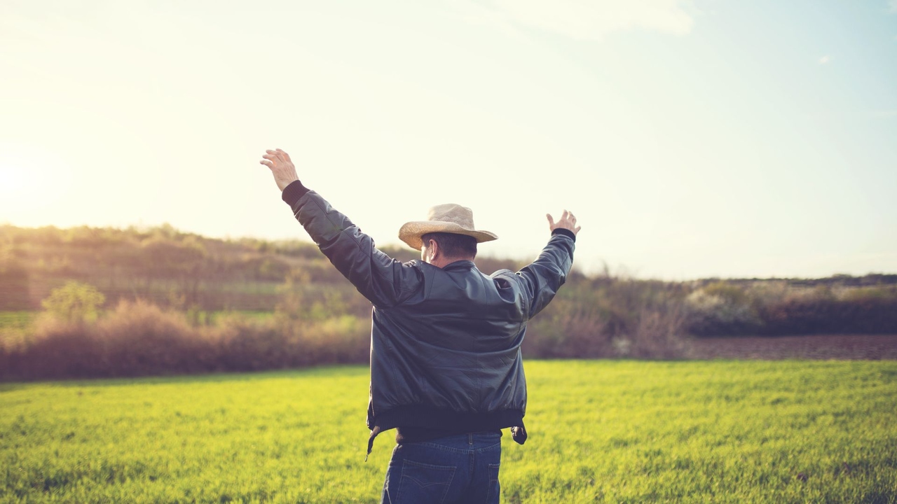 Singapura vai comprar mais produtos do agronegócio brasileiro?