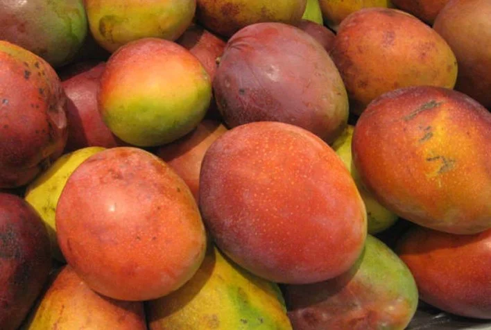 Tommy está se desvalorizando pelo segundo semana consecutiva no Vale? 3 tommy esta se desvalorizando pelo segundo semana consecutiva no vale 1