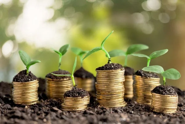 valor bruto da producao do agro mineiro deve encerrar o ano em r 1239 bilhoes otimizando o seo