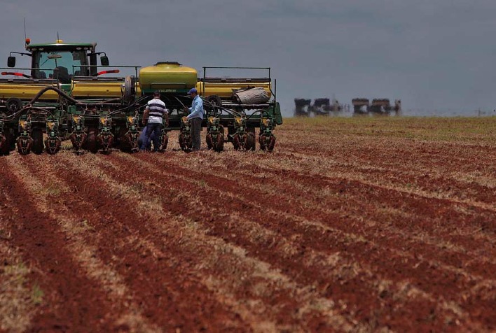 A antecipacao da semeadura do algodao de sequeiro foi aprovada