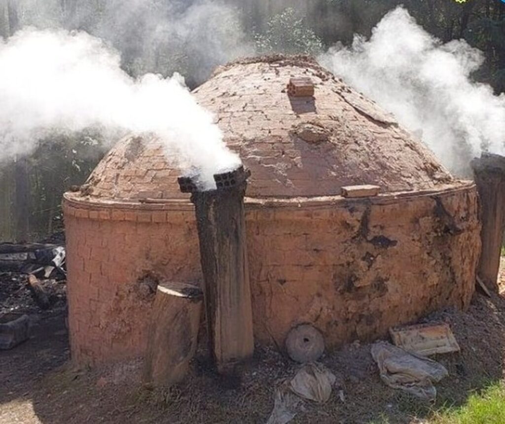 A policia flagrou um forno para producao de carvao proximo