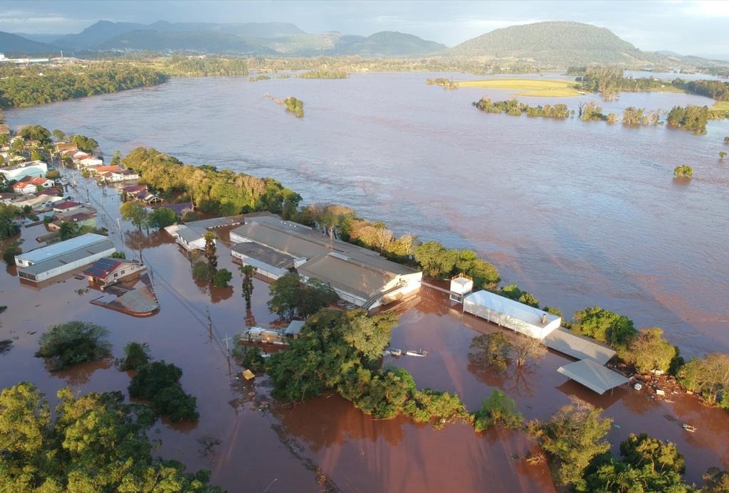 As industrias avicolas do RS estao clamando por apoio para