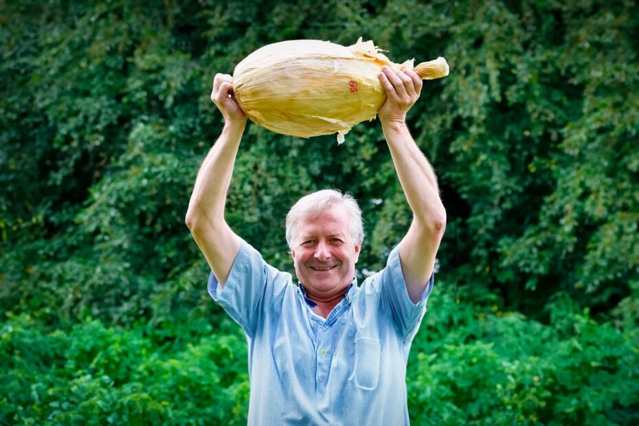 Cebola Gigante com 9kg pode entrar para o Guinness Book