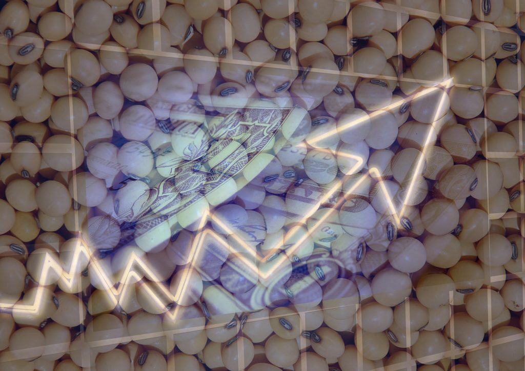 Preço da soja Cotação do PIB Dólar de Chicago